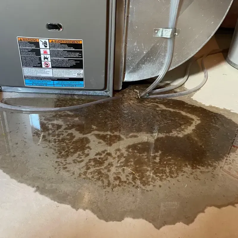 Appliance Leak Cleanup in Minkler, CA